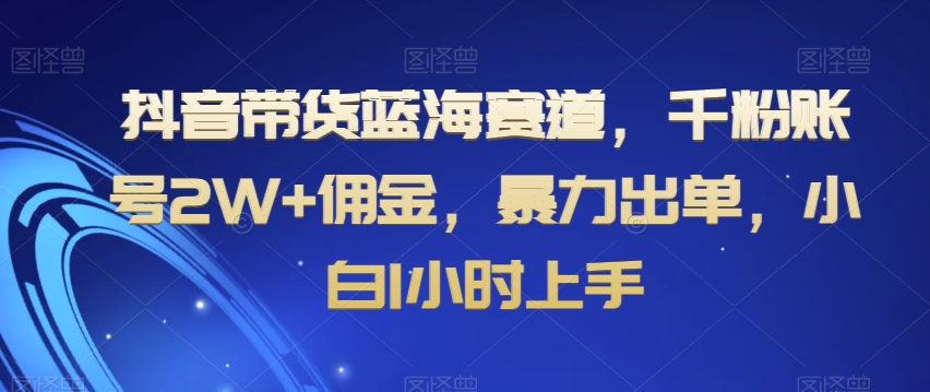 抖音带货蓝海赛道，千粉账号2W+佣金，暴力出单，小白1小时上手【揭秘】-创客云联盟