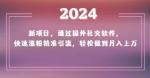 2024新项目，通过国外社交软件，快速涨粉精准引流，轻松做到月入上万【揭秘】-创客云联盟