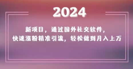 2024新项目，通过国外社交软件，快速涨粉精准引流，轻松做到月入上万【揭秘】-创客云联盟