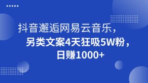 抖音邂逅网易云音乐，另类文案4天狂吸5W粉，日赚1000+-创客云联盟