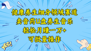 （8503期）健康养生细分领域赛道，卖音药U盘养生音乐，轻松月赚一万+，可批量操作-创客云联盟