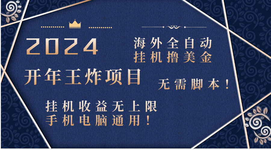 （8494期）2024海外全自动挂机撸美金项目！手机电脑均可，无需脚本，收益无上限！-创客云联盟