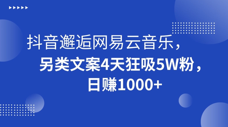 抖音邂逅网易云音乐，另类文案4天狂吸5W粉，日赚1000+【揭秘】-创客云联盟