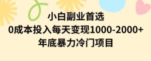 小白副业首选,0成本投入,每天变现1000-2000年底暴力冷门项目【揭秘】-创客云联盟