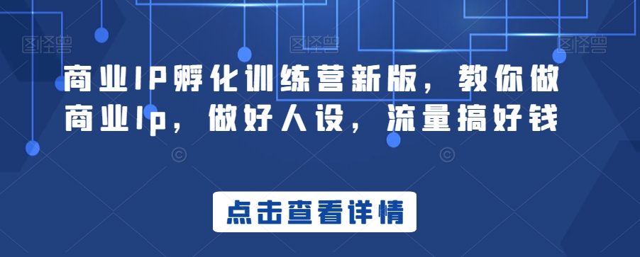 商业IP孵化训练营新版，教你做商业Ip，做好人设，流量搞好钱-创客云联盟
