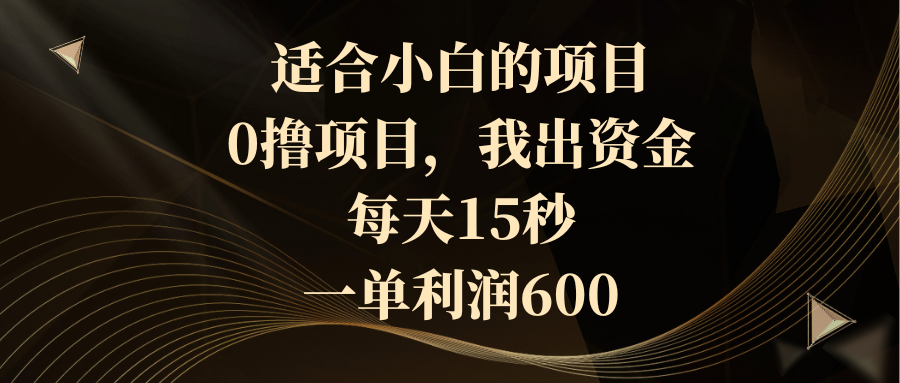 （8571期）适合小白的项目，0撸项目，我出资金，每天15秒，一单利润600-创客云联盟