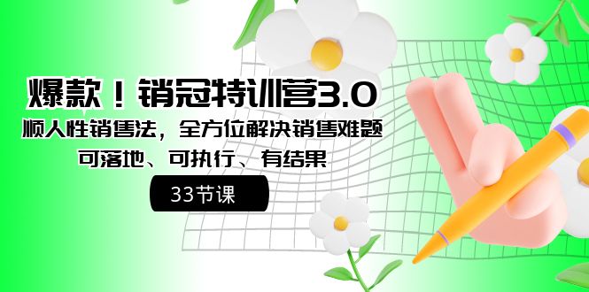 （8573期）爆款！销冠特训营3.0之顺人性销售法，全方位解决销售难题、可落地、可执…-创客云联盟