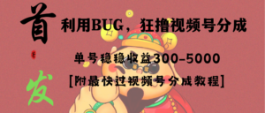 （8549期）全网独家首发，视频号BUG，超短期项目，单号每日净收益300-5000！-创客云联盟