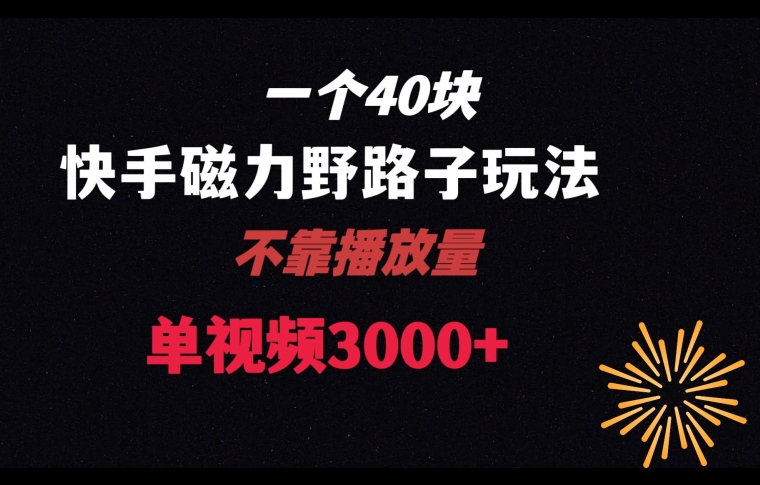 一个40块，快手联合美团磁力新玩法，无视机制野路子玩法，单视频收益4位数【揭秘】-创客云联盟
