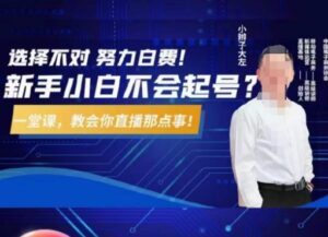 大左教您从0到1做直播带货,选择不对,努力白费,5小时课程搞定那点事,解决你起号问题-创客云联盟