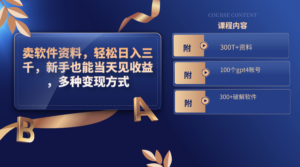 （8582期）卖软件资料，轻松日入三千，新手也能当天见收益，多种变现方式，（附300…-创客云联盟