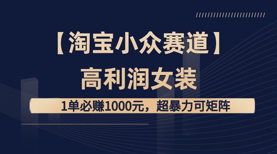 （8608期）【淘宝小众赛道】高利润女装：1单必赚1000元，超暴力可矩阵-创客云联盟