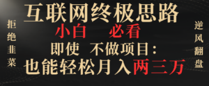 （8619期）互联网终极思路，小白必看，即使不做项目也能轻松月入两三万，拒绝韭菜…-创客云联盟