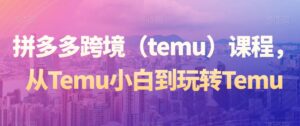 拼多多跨境（temu）课程，从Temu小白到玩转Temu-创客云联盟