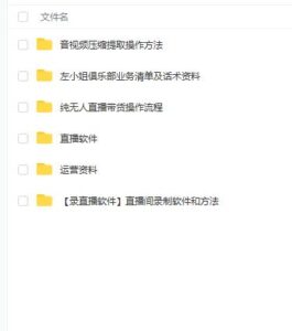 左小姐-直播带货俱乐部十三行、无人直播，全套教程附：工具、文档、话术资料-创客云联盟