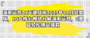 淘系运营21天速成班2023年12月完整版，10大核心模块分解淘系运营，0基础轻松搞定爆款-创客云联盟