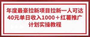 年度最豪拉新项目拉新一人可达40元单日收入1000+红薯推广计划实操教程【揭秘】-创客云联盟
