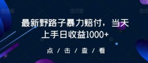 最新野路子暴力赔付,当天上手日收益1000+【仅揭秘】-创客云联盟