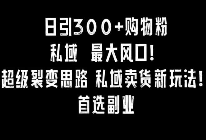 日引300+购物粉，超级裂变思路，私域卖货新玩法，小红书首选副业【揭秘】-创客云联盟