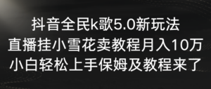（9021期）抖音全民k歌5.0新玩法，直播挂小雪花卖教程月入10万，小白轻松上手，保…-创客云联盟
