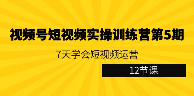 视频号短视频实操训练营第5期：7天学会短视频运营（12节课）-创客云联盟