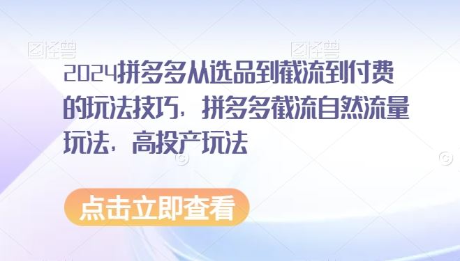 2024拼多多从选品到截流到付费的玩法技巧，拼多多截流自然流量玩法，高投产玩法-创客云联盟