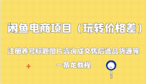 闲鱼电商项目(玩转价格差):注册养号标题图片咨询成交售后选品货源等,一条龙教程-创客云联盟