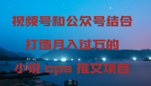 视频号和公众号结合打造月入过万的小说cps推文项目，包括市面上面的各种思路详解-创客云联盟