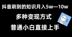 抖音刷到的知识，每天只需2小时，日入2000+，暴力变现，普通小白直接上手【揭秘】-创客云联盟