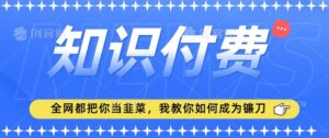 2024最新知识付费项目，小白也能轻松入局，全网都在教你做项目，我教你做镰刀【揭秘】-创客云联盟