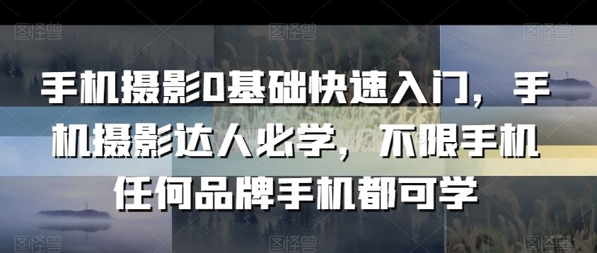手机摄影0基础快速入门，手机摄影达人必学，不限手机任何品牌手机都可学-创客云联盟