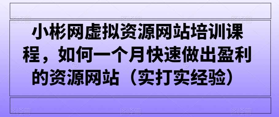 小彬网虚拟资源网站培训课程，如何一个月快速做出盈利的资源网站（实打实经验）-创客云联盟