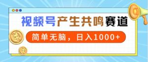 (9133期)2024年视频号,产生共鸣赛道,简单无脑,一分钟一条视频,日入1000+-创客云联盟