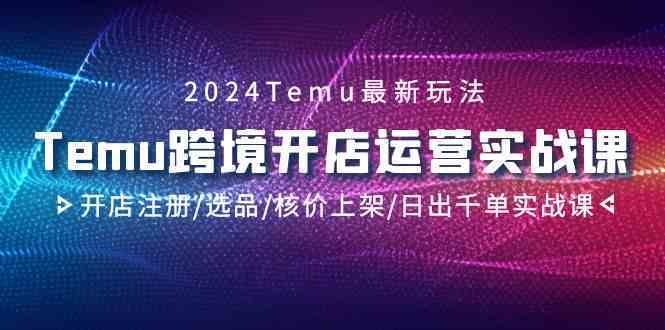 2024Temu跨境开店运营实战课，开店注册/选品/核价上架/日出千单实战课-创客云联盟