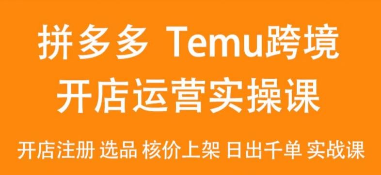 2024Temu最新玩法，Temu跨境开店运营实操课，开店注册/选品/核价上架/日出千单实战课-创客云联盟