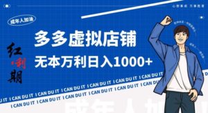拼多多超神玩法！虚拟店铺无本入局日收1000+，不需要发货，不需要售后【揭秘】-创客云联盟