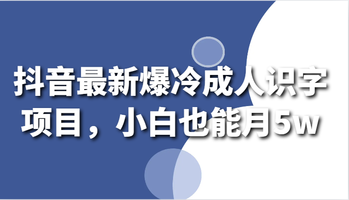 抖音最新爆冷成人识字项目，小白也能月5w-创客云联盟