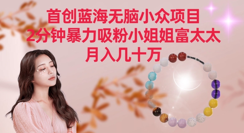 首创蓝海无脑小众项目，2分钟暴力吸粉小姐姐富太太，月入几十万-创客云联盟