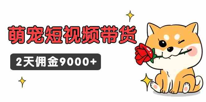 （9273期）东哲日记·萌宠短视频带货，2天佣金9000+-创客云联盟