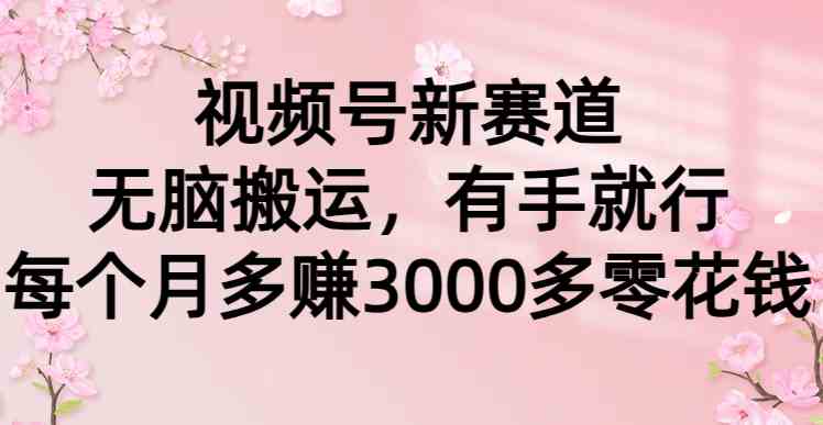 （9277期）视频号新赛道，无脑搬运，有手就行，每个月多赚3000多零花钱-创客云联盟