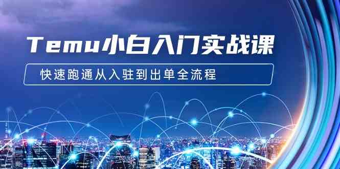 （9295期）Temu小白入门实战课：跨境拼多多电商培训 快速跑通从入驻到出单全流程-12节-创客云联盟