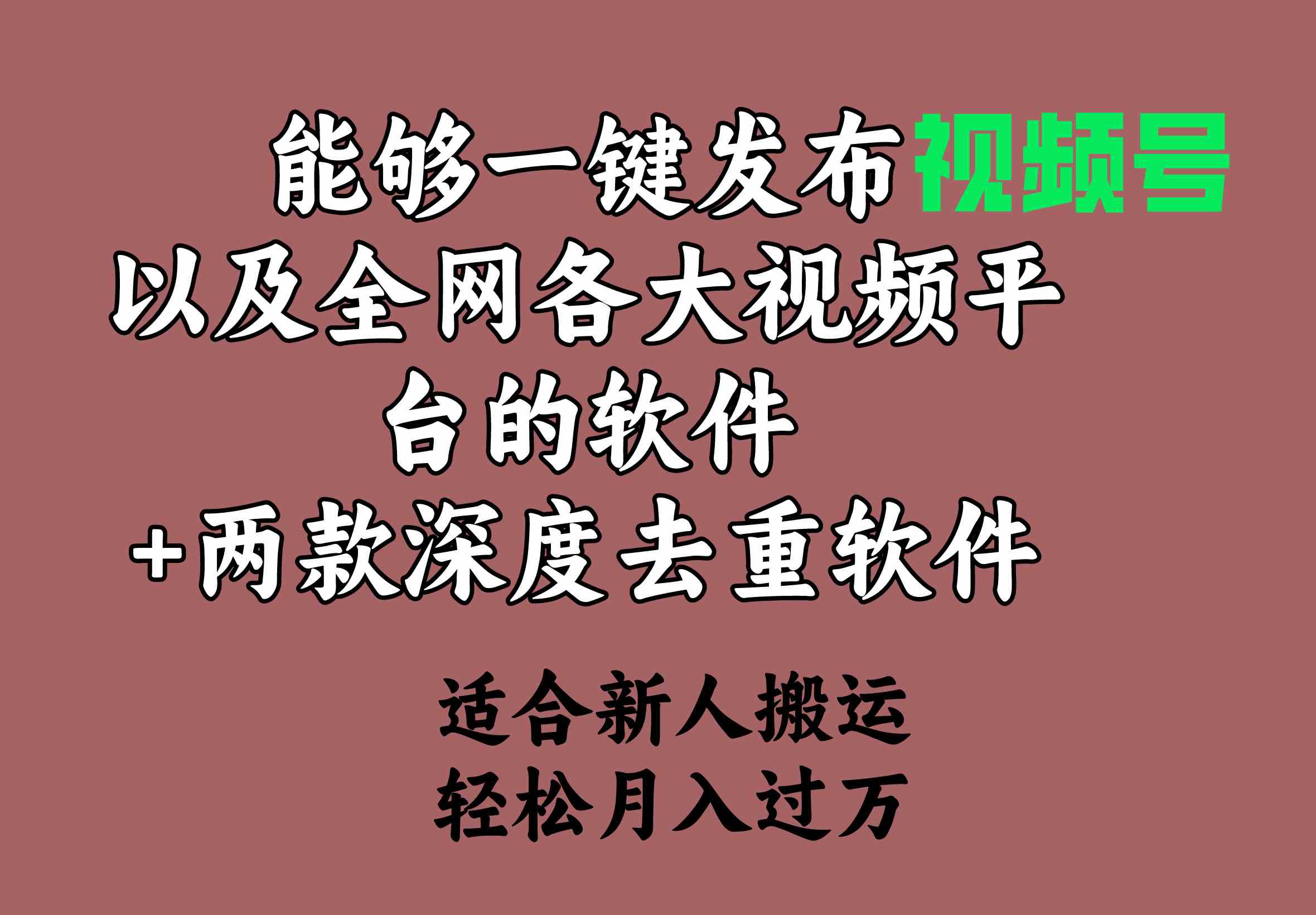 （9319期）能够一键发布视频号以及全网各大视频平台的软件+两款深度去重软件 适合…-创客云联盟