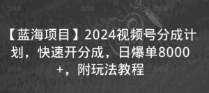 【蓝海项目】2024视频号分成计划，快速开分成，日爆单8000+，附玩法教程-创客云联盟