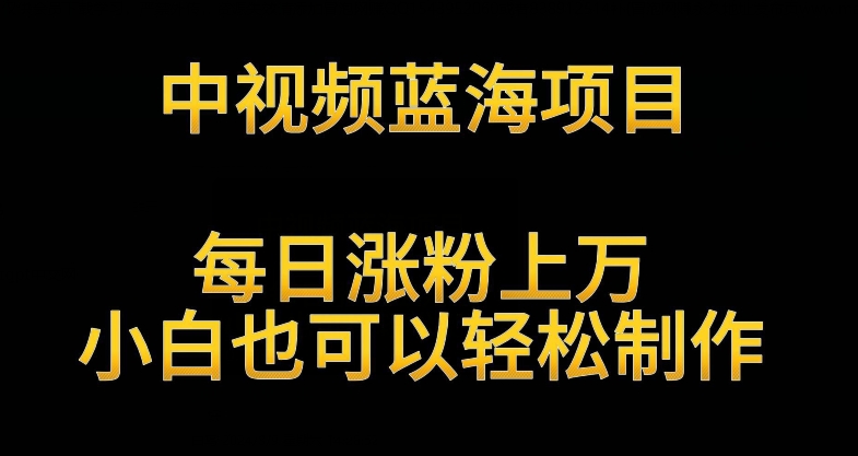 中视频蓝海项目，解读英雄人物生平，每日涨粉上万，小白也可以轻松制作，月入过万不是梦-创客云联盟