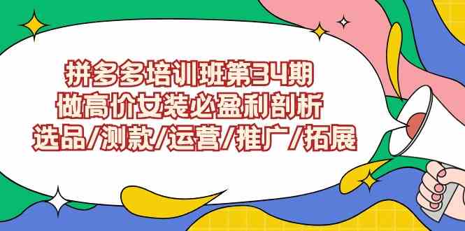 （9333期）拼多多培训班第34期：做高价女装必盈利剖析  选品/测款/运营/推广/拓展-创客云联盟