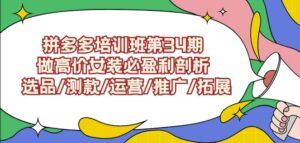 拼多多培训班第34期：做高价女装必盈利剖析选品/测款/运营/推广/拓展-创客云联盟