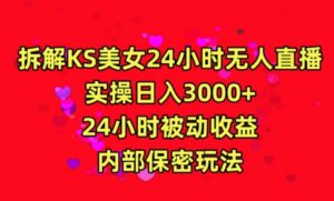 利用快手24小时无人美女直播,实操日入3000,24小时被动收益,内部保密玩法-创客云联盟