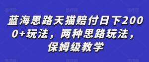 蓝海思路天猫赔付日下2000+玩法，两种思路玩法，保姆级教学【仅揭秘】-创客云联盟