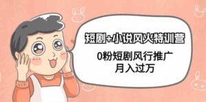 （9374期）短剧+小说风火特训营，0粉短剧风行推广，月入过万（102节课）-创客云联盟