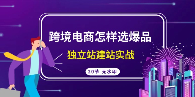 跨境电商怎样选爆品，独立站建站实战（20节高清课）-创客云联盟